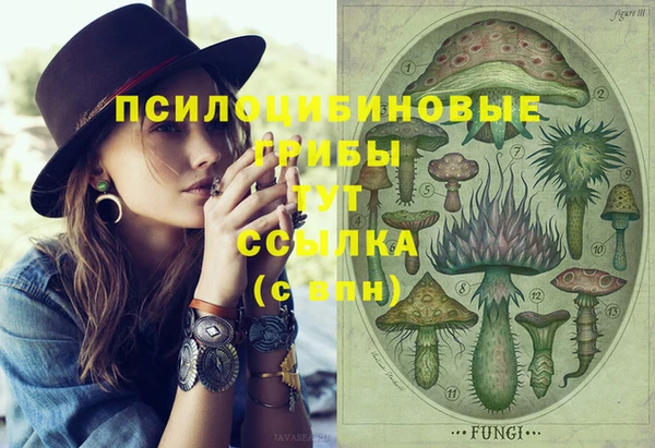 стаф Инсар